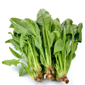 Pure Natural High Quantity Fresh Spinach Cheap Price Green Spinach Sweet Spinach in Kenya