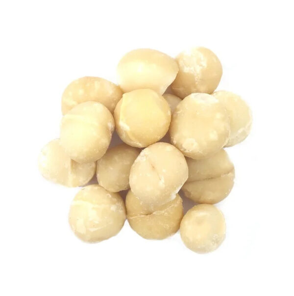 Organic Roasted Macadamia Nuts Factory Price Wholesale Raw Dried Food Macadamia Nuts