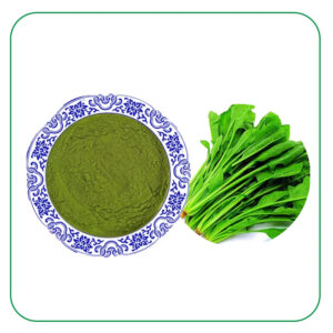 Organic Spinach Extract Natural Organic 99% Pure Dehydrated Dried Green Leaf Spinach Extract Powder