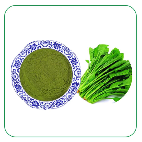 Organic Spinach Extract Natural Organic 99% Pure Dehydrated Dried Green Leaf Spinach Extract Powder