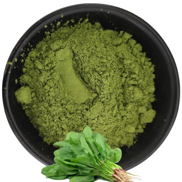 Factory Supply Best Quality Dry Spinach Powder Spinach Extract Powder - Image 2