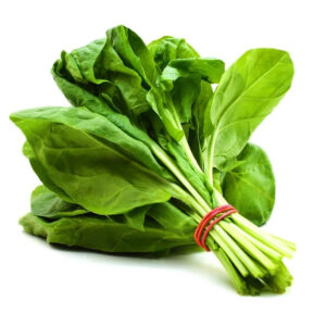 Frozen Spinach Greenhouse Grown Various Parts Leaf Slice Chopped Ball Pattern Assorted Vegetables