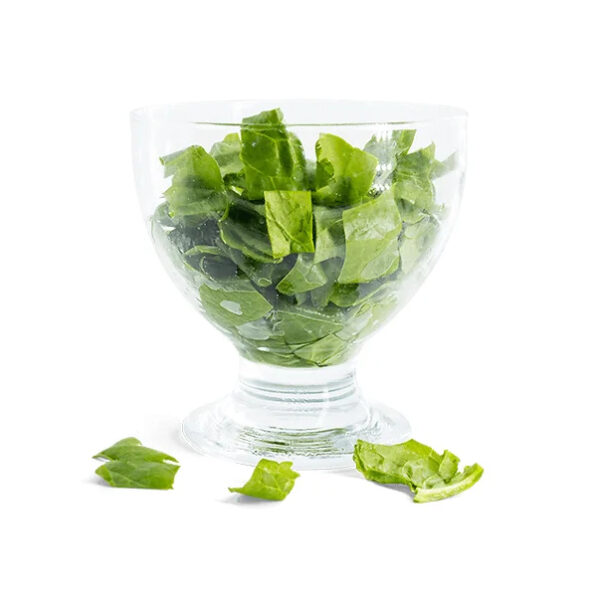 Frozen Spinach Premium Cut Vegetables for Easy Preparation and Nutritious Meals IQF Spinach