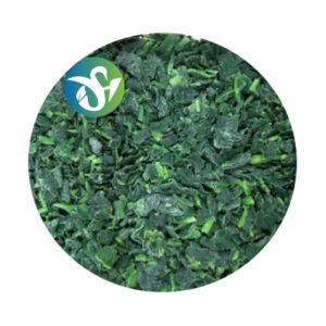 IQF Frozen Spinach Chopped Cuts 10x10mm BRC a Frozen Vegetables IQF