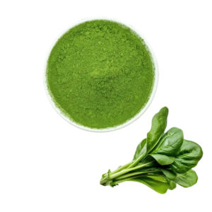 Factory Supply Spinach Juice Powder Spray Dried Spinach Powder