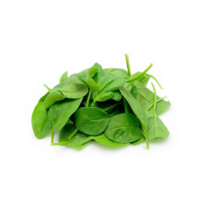 Fresh Malabar Spinach Fresh Vegetable From SA Fast Delivery and Carefully Pure Natural Organic Spinach