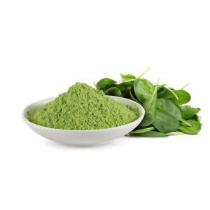100% Spray Dried Spinach Powder ISO Factory Supply Instant Spray Dried Spinach Powder For flavouring