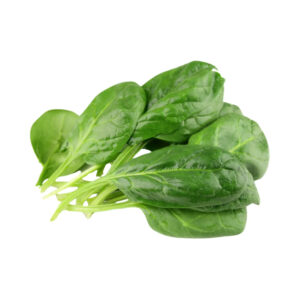 IQF Frozen Spinach Premium Quality Frozen Fruit for Healthy Eating