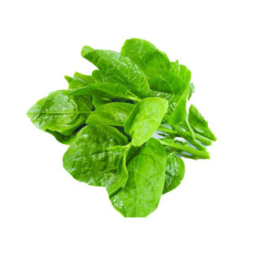 Malabar Spinach Vegetables