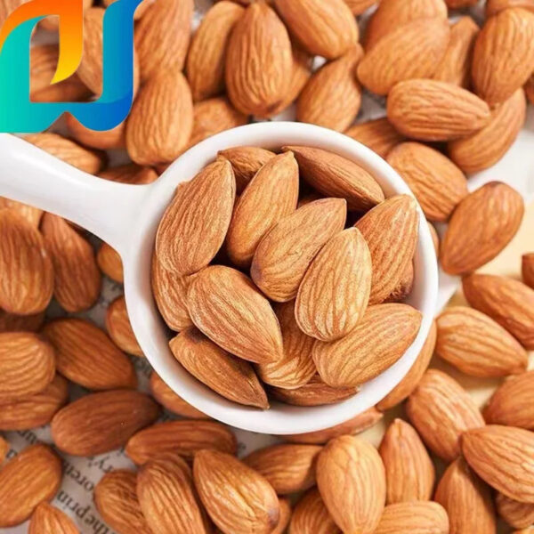 Roasted Almonds in Bulk Salty Taste Baked NUT Snacks Food Hard Texture Wholesale - Image 2