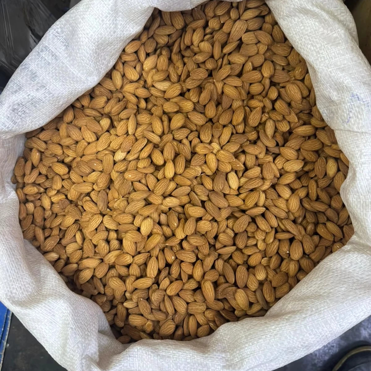 Excellent Quality Jumbo Almonds Kernels Fresh Stock Big Size Almonds Almond Kenya Origin California Available Wholesale Export - Image 2