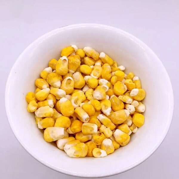 Premium Quality Air Dried Vegetables Yellow Corn for Sale 10MT 20FCL 20k carton From Kenya Non-glutinous 20 Kg 1 Cm AD - Image 2