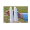 Wholesale Fresh Yellow Corn White Corn Bulk Dried Corn - Image 2