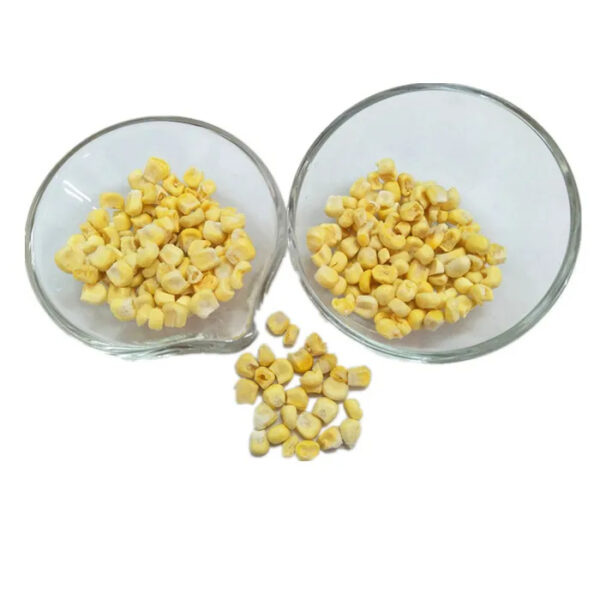 Best Flavour Kenya Freeze Sweet Corn Yellow Color - Image 2