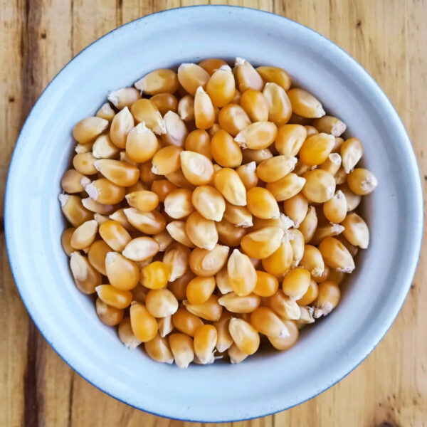 Wholesale Premium Quality GMO Yellow Corn Dried Fresh for Human Consumption Best Market Price Bulk Order Now - Image 2