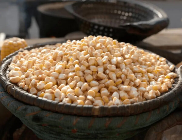 New Crop Yellow Corn Maize for Human and Animal Feed Grade Consumption Yellow Corn for Poultry Feed - Image 2
