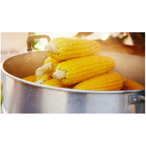 New Crop Canadian Sweet Corn Yellow Corn at Very Good Rates - Image 2