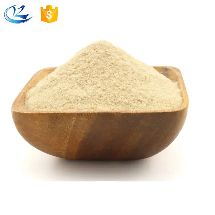 High Quality Vital Wheat Gluten 25kg Flour Hot Sale - Image 2
