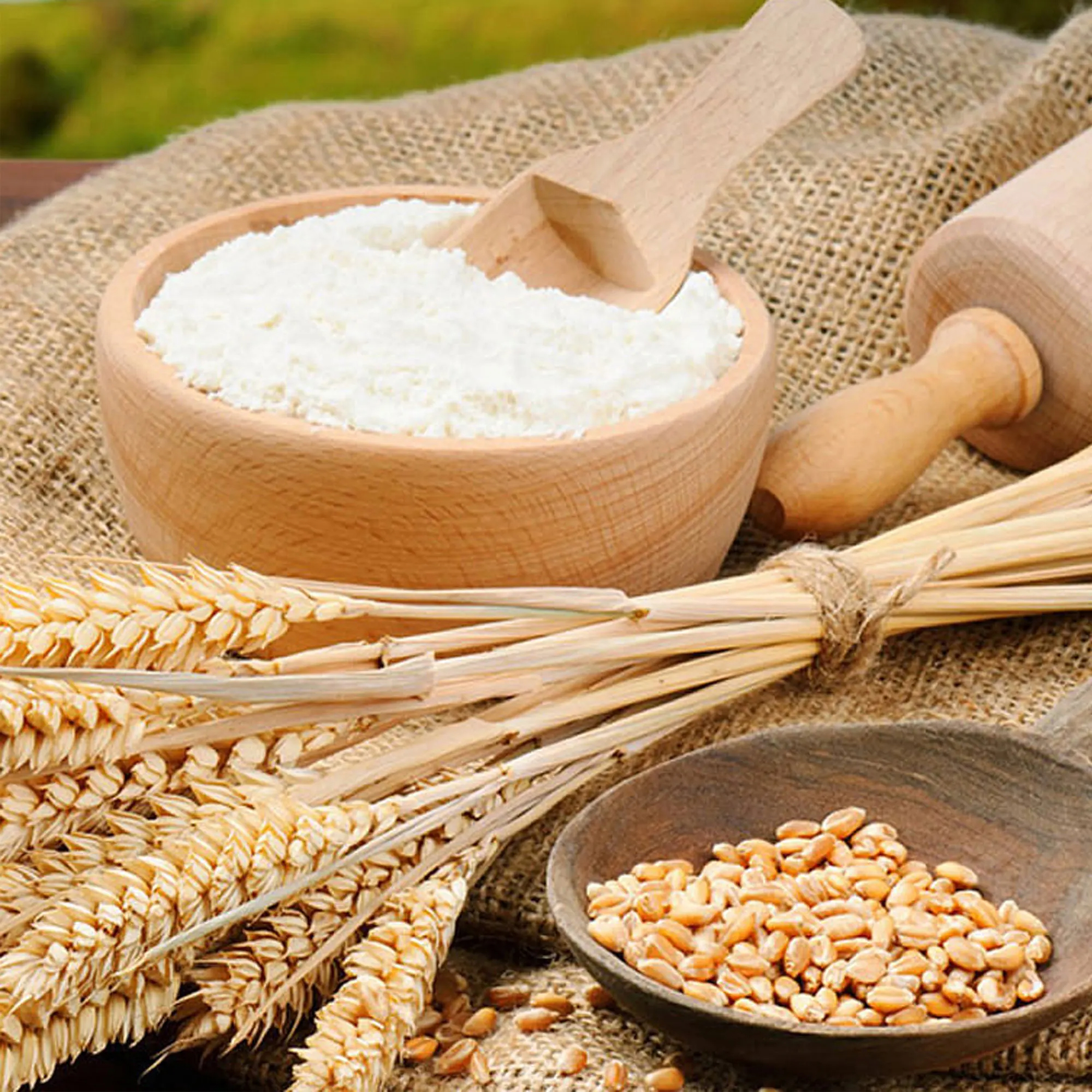 Premium Wheat Bakery Flour for All-Purpose Baking - Versatile and High-Quality Flour Ideal for Bread, Pastries, Cakes, and More - Image 2