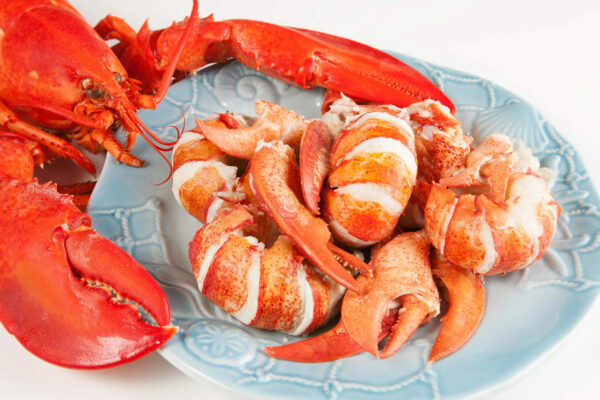 Premium Fresh and Frozen Seafood Lobster Tails Live Crawfish and Lobsters in Boxes for Sale - Image 2