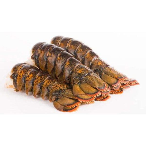 Custom Rate Wholesale High Quality Consumption Seafood Product Fresh Adjustable Price Frozen Rock Lobster Selling Frozen Lobster - Image 2