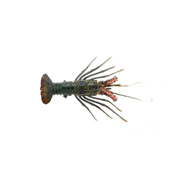 Premium Fresh Lobster Wild-Caught Succulent Ocean-Fresh - Image 2