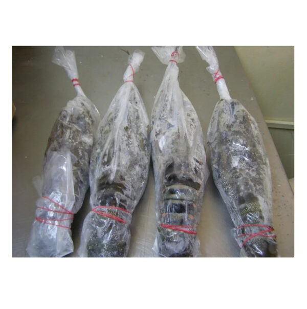 Best Price Live  Fresh Frozen American Lobster Available - Image 2