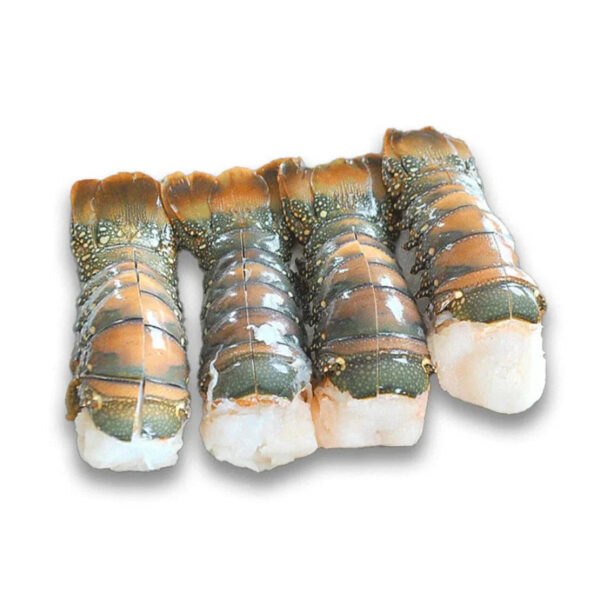 Wholesale Price Fresh and Frozen Lobster for Sale Red Lobsters in Bulk Raw Frozen Lobster Tails - Image 2