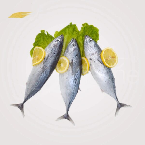 Frozen Seafood And Fish Frozen Mackerel - Image 2