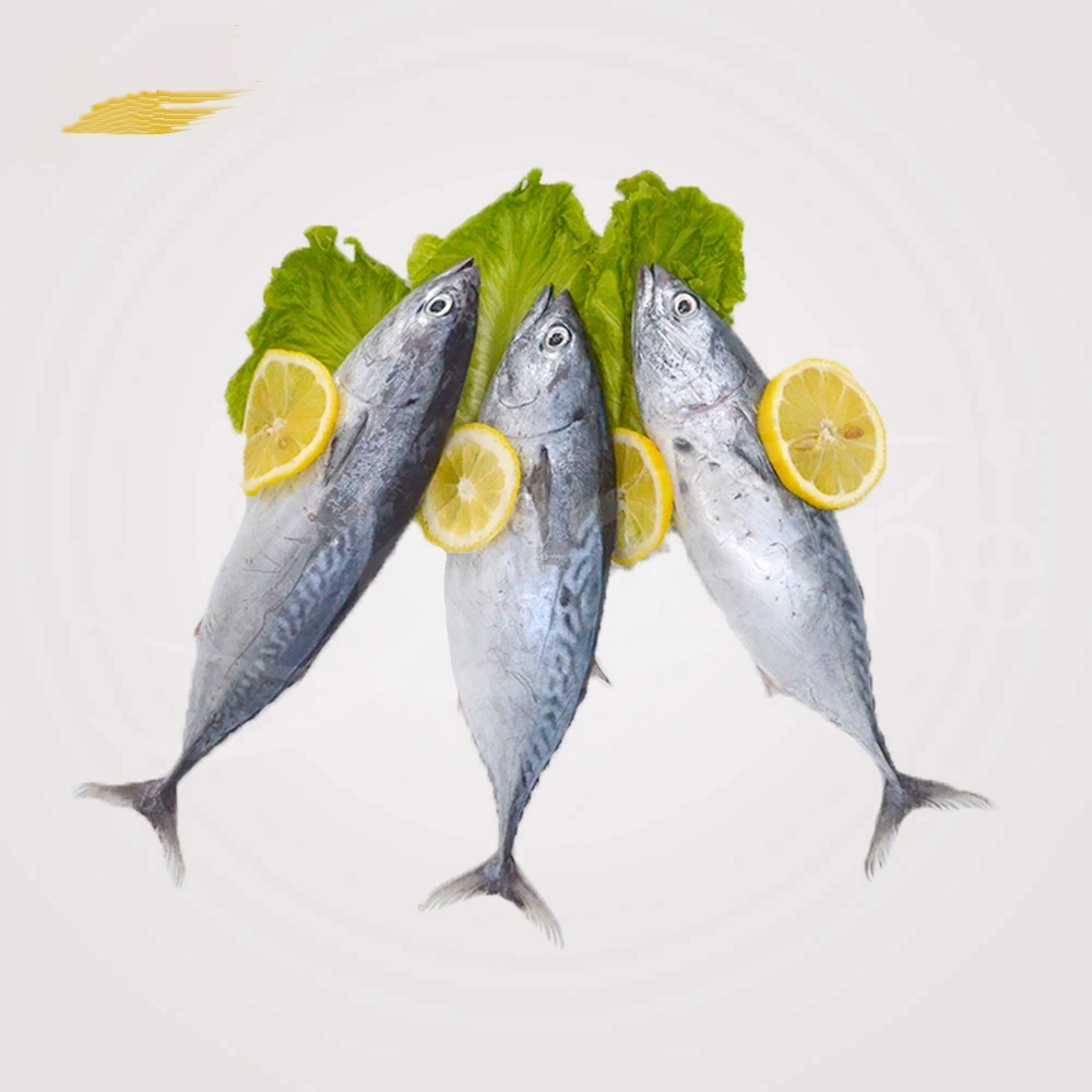 Frozen Seafood And Fish Frozen Mackerel - Image 2