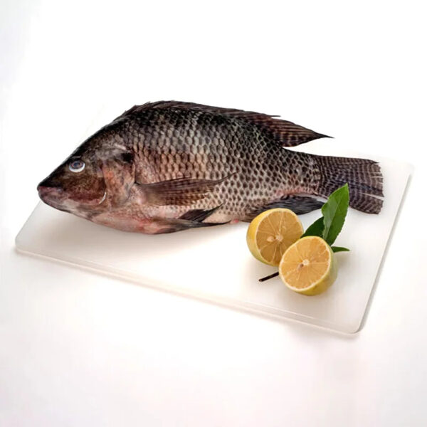 Export Congele Poisson Tilapia Fish Indian Ocean Tilapia En Gros Whole Frozen Tilapia Fish Wholesale - Image 2
