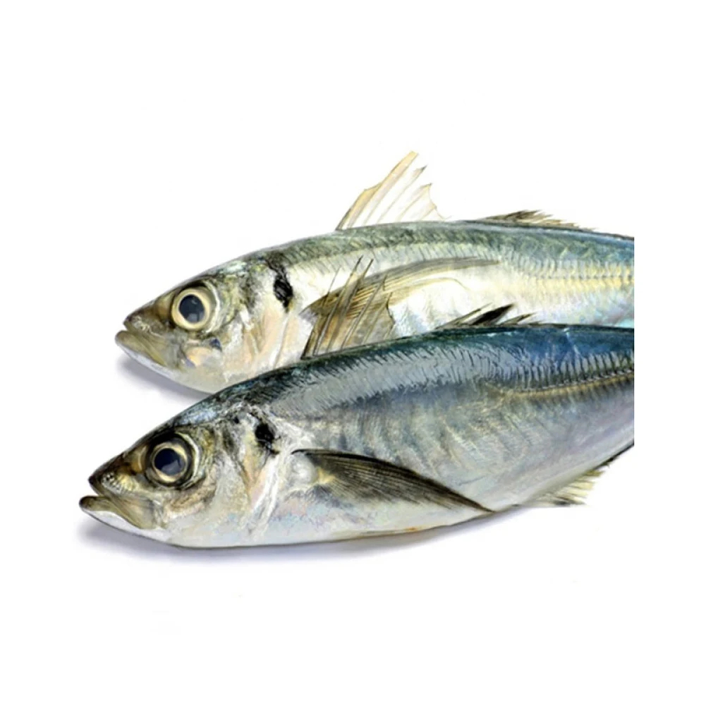 Frozen Mackerel Fish Frozen Fresh Seafood - Image 2