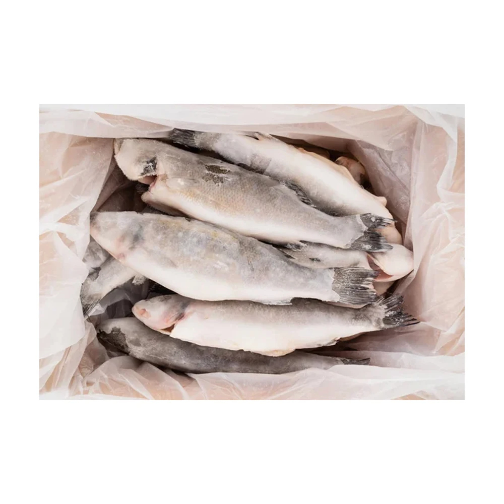 High Quality BQF Sea Frozen Fish Pacific Fish 50-60Pcs Chub Mackerel for Sale - Image 2