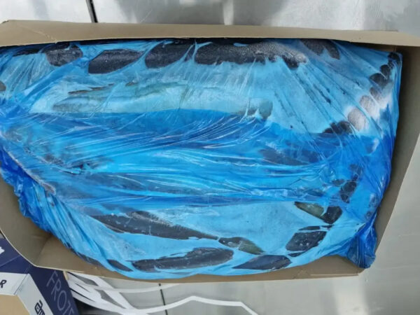 Frozen Horse Mackerel for Sale Top-Grade Frozen Fish Ideal for Grilling Frying and Stews Bulk Orders Available - Image 2