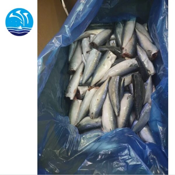 Best Price Good Quality Seafrozen 100-200g Mackerel HGT Fish - Image 2