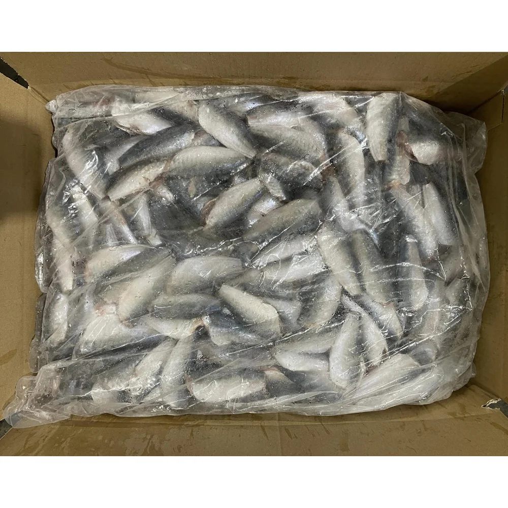 Frozen Round Scad Hgt Round Scad Mackerel Fish Mackerel Scad Fish - Image 2