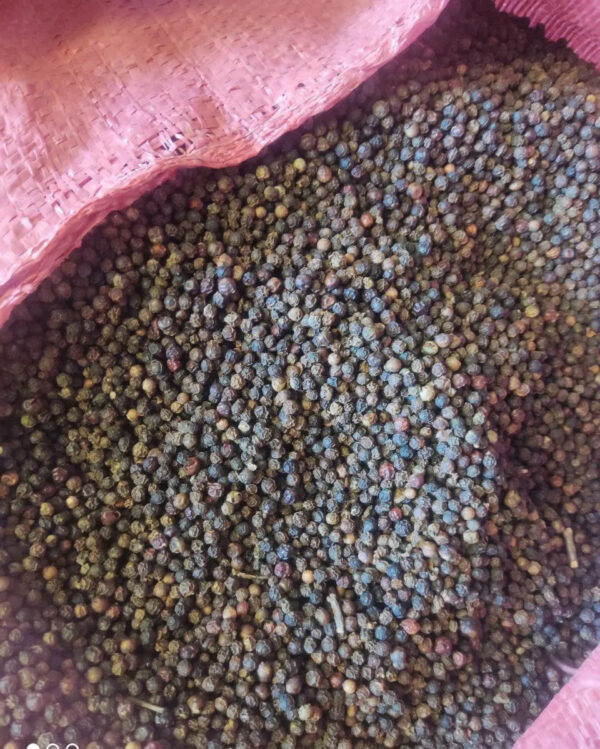 Black Pepper Exporters Vietnam - Image 4