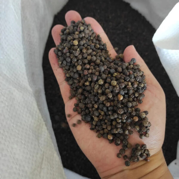 100% Natural Dried Black Pepper Single Spices Herbs Cultivated Common Cooking Industry-Export Variety Pattern Powder Form Seed - Image 2