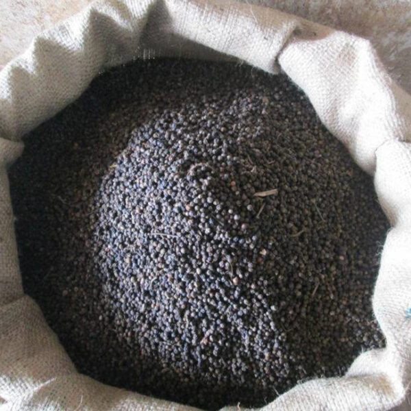 High Quality Black Pepper Dried Black Pepper 550gl From China Factory - Image 2