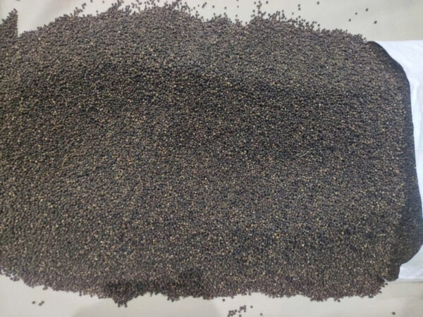 High Quality Vietnam Black Pepper Whole Natural Flavor Best Price Single Spices & Herbs Natural Color Discounted - Image 2