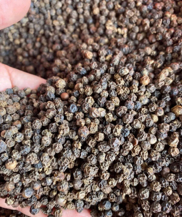 High Quality Vietnam Black Pepper Herb Fresh Spicy Taste Dried Whole Form Spiciness for Cooking Fried Pepperl Black Peppercorn - Image 2
