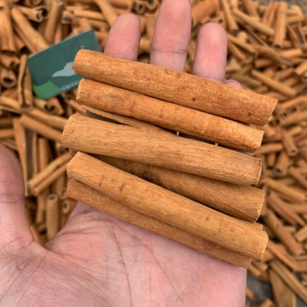 Wholesale Price Cinnamon Sticks Superior Quality New Harvest Rich in Flavour Bulk Packaging Free Sample - Image 3
