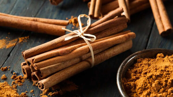 Single Spices & Herbs Export Selling Ceylon Cinnamon Sticks Exquisite Spice for Authentic Cuisine Available for Sale From India - Image 2