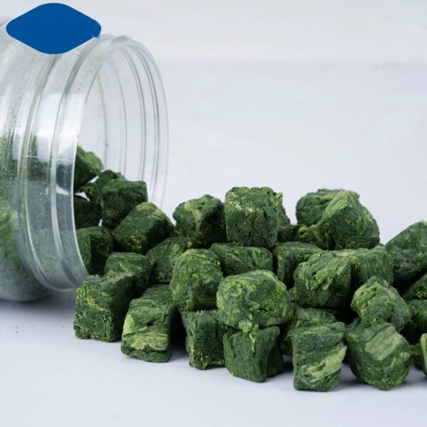 High Quality Organic Freeze-Dried Spinach Healthy Dried Vegetables Bulk FD Sweet Leaf Fruit Powder Wholesome Organic Leek - Image 2