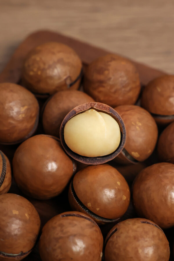 Good Supplier Dried Macadamia Nuts - Image 2