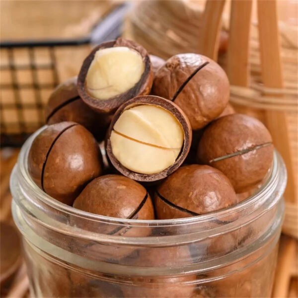 Hot Selling High Quality Cheap Price Roasted Macadamia Nuts From Kenya - Image 2