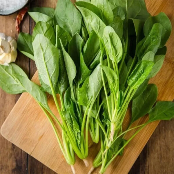 Pure Natural High Quantity Fresh Spinach Cheap Price Green Spinach Sweet Spinach in Kenya - Image 2