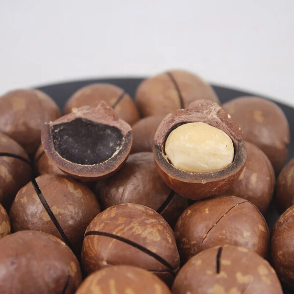 Hot Selling Good Quality Macadamia Nut for Sale - Image 2