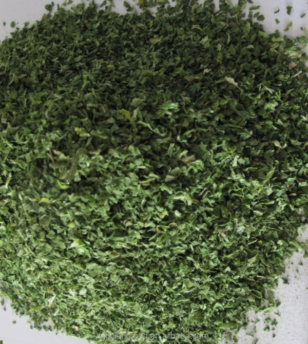 Factory Supply Natural Dehydrated Spinach Powder Raw Processed Dried Extract from Fresh Spinach - Image 2