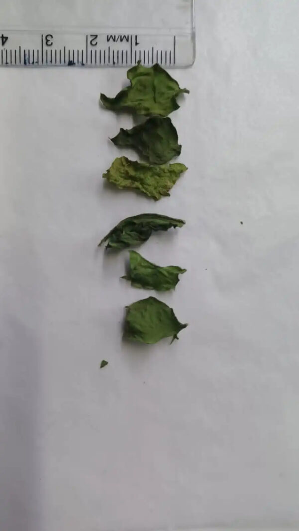 Dehydrated Spinach Flakes Dried Spinach Flakes Wholesale Best Selling Spinach Flakes Best Quality Single Vegetables Supplement - Image 2